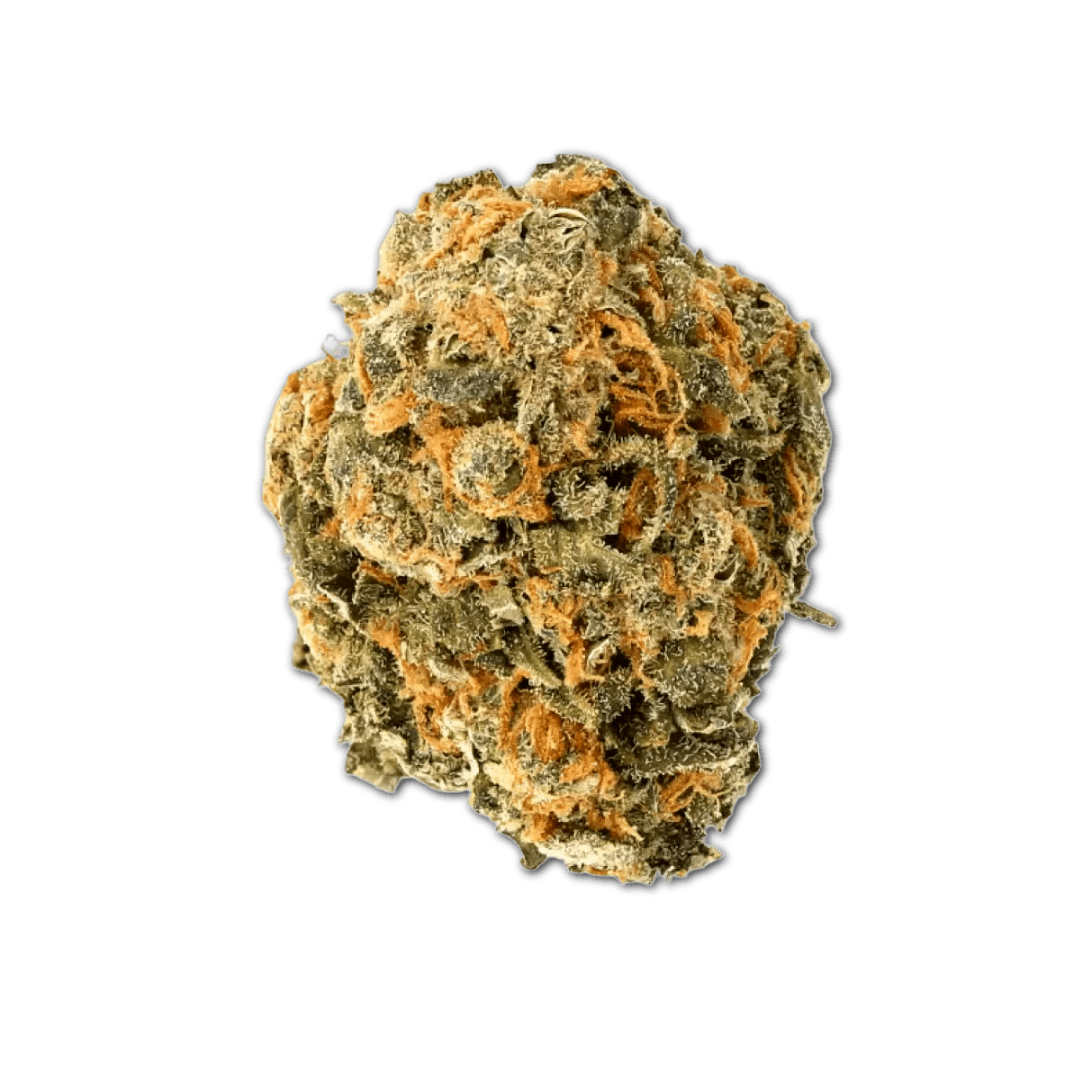 Cannamedical Hybrid Forte 22/1 NM Gorilla Zkittlez