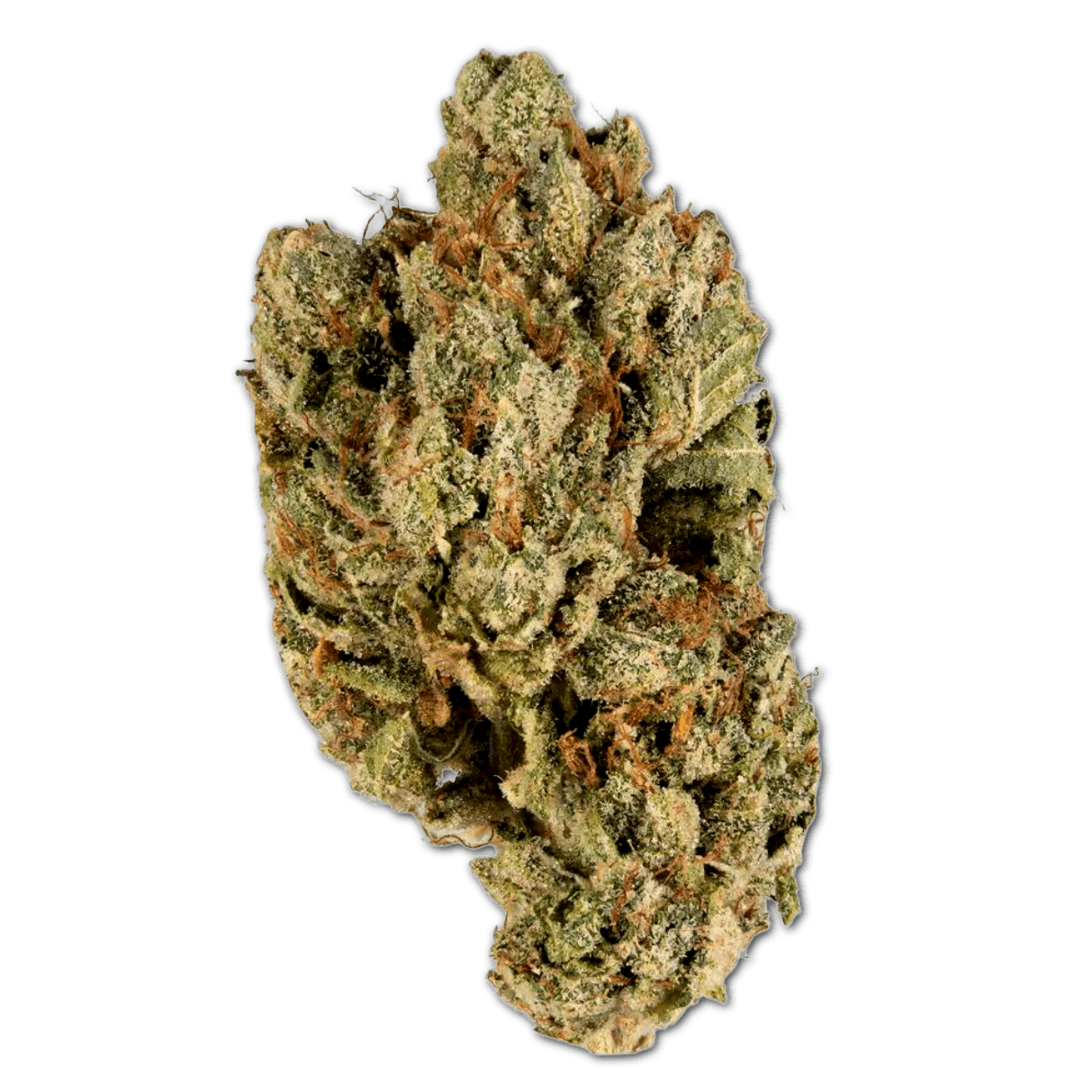 Remexian 30/1 HEG Helios Gold