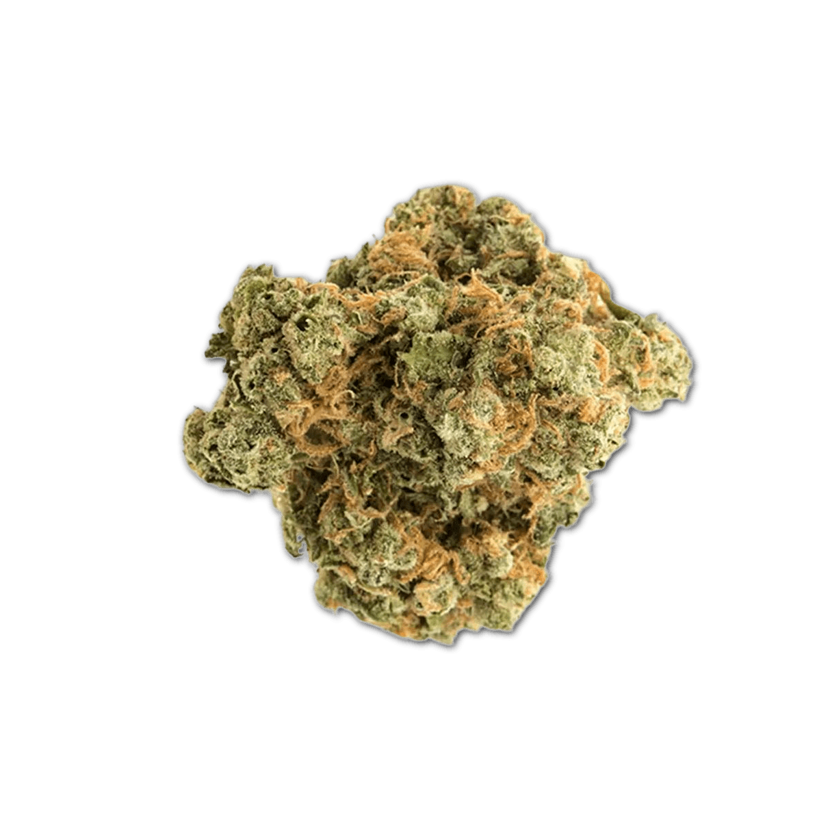 Aurora Typ 1 Island Sweet Skunk