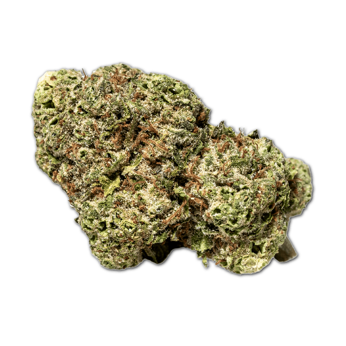 NOC KS 18/1 KO x Sherbet Shocker