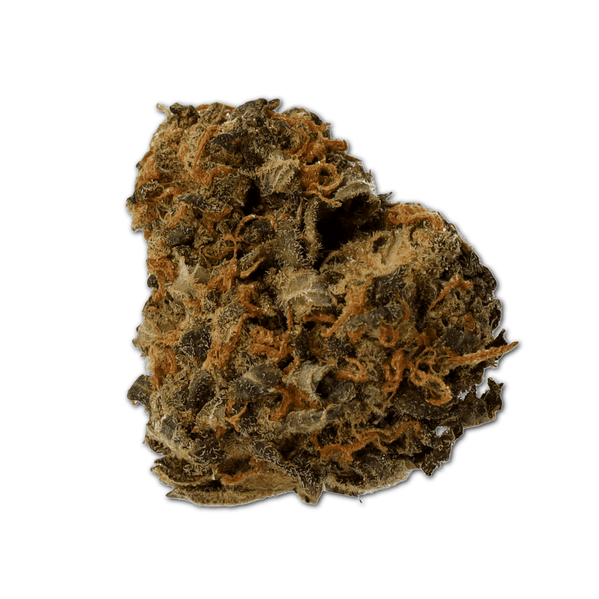 Cannamedical CM 18/1