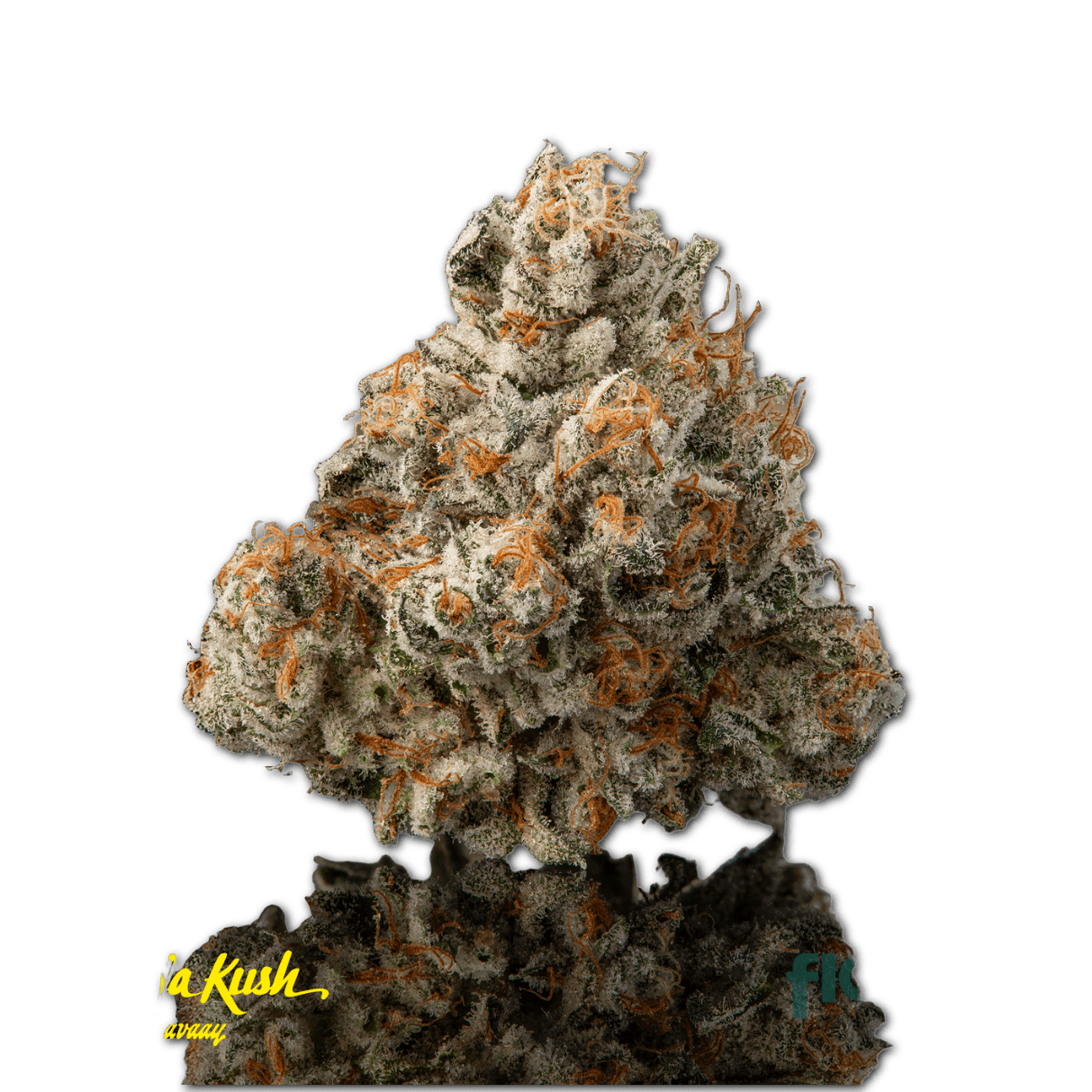 avaay Khalifa 28/1 KM Khalifa Mints