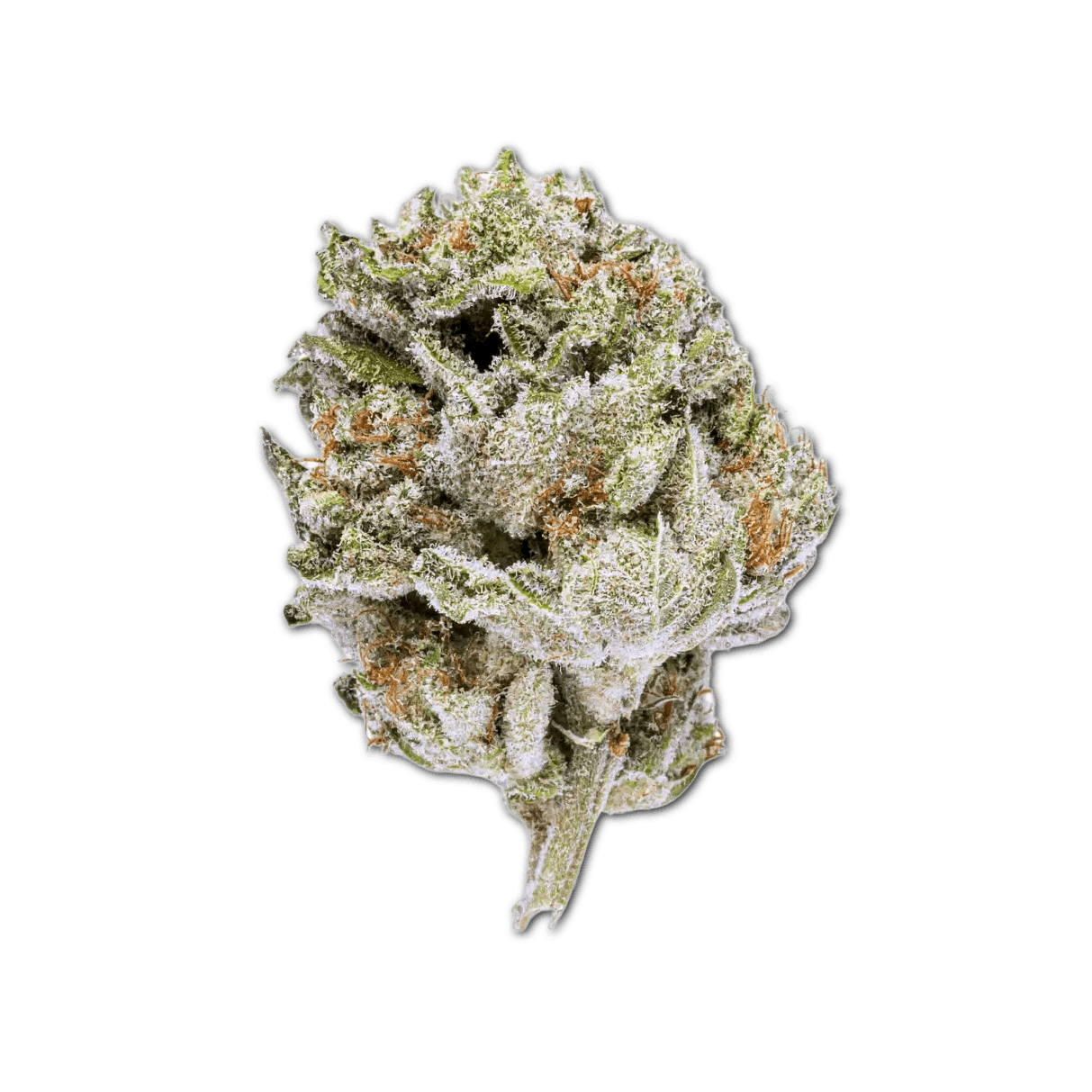 Canify Cannabis flos 16/1 LS Ku. Khanya Select