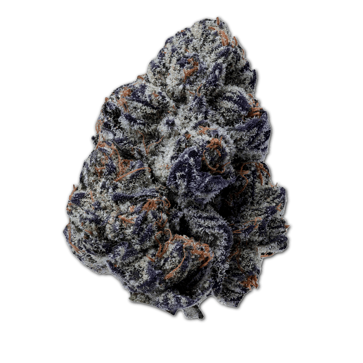 20/1 IUVO OC Killer Cupcake