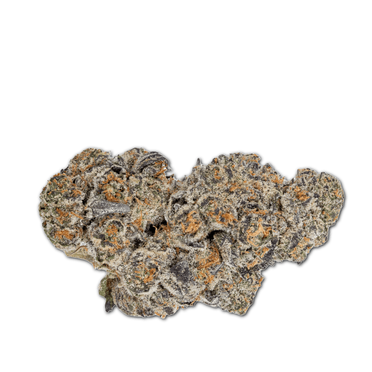 Tilray THC22 Spotlight Porto King Sherb