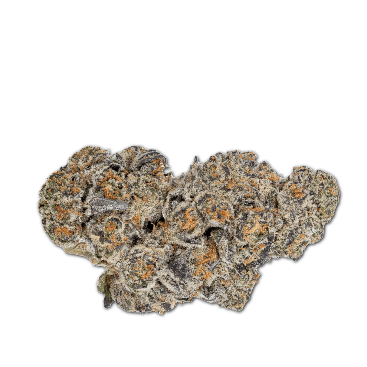 Tilray THC22 Spotlight Porto King Sherb