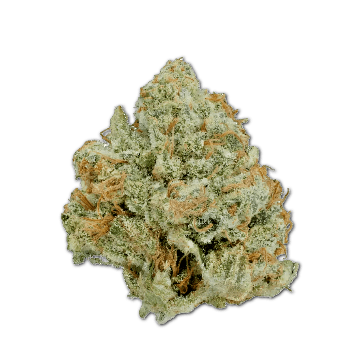 Weeco 22/1 KIKU Kings Kush