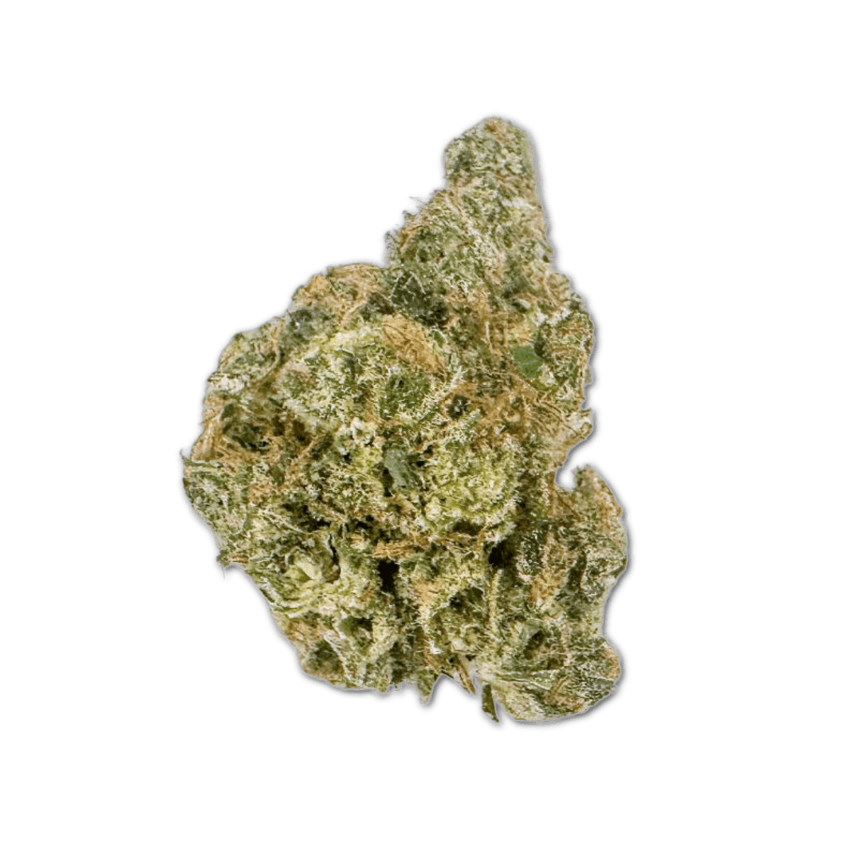 IMC BBQK THC21 Korean BBQ