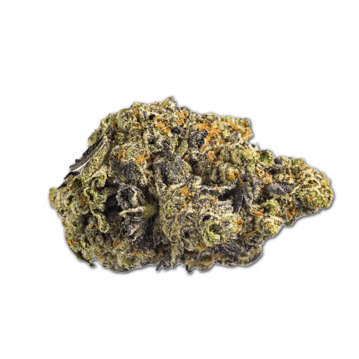 Canopy KMI 28/1 Kush Mints