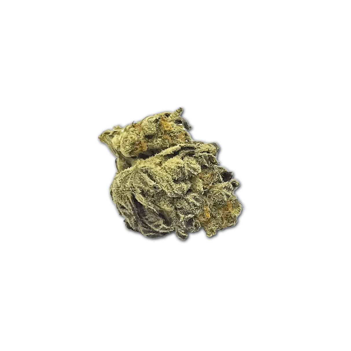 Cannamedical Indica Forte AU LKC LA Kush Cake