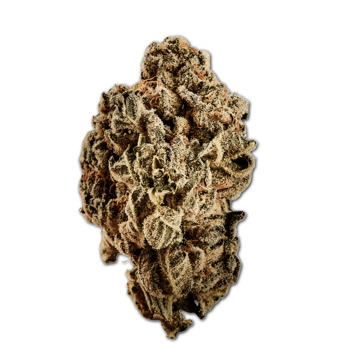 Curaleaf Natural 18/1 PT LVC Lavender Cake