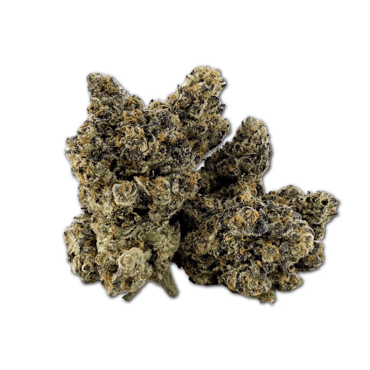 20/1 IUVO OC Lazer Fuel