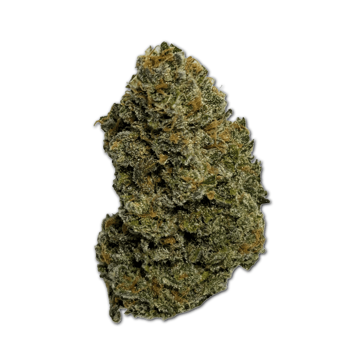 Wellford Aquaponic 23/1 LBO