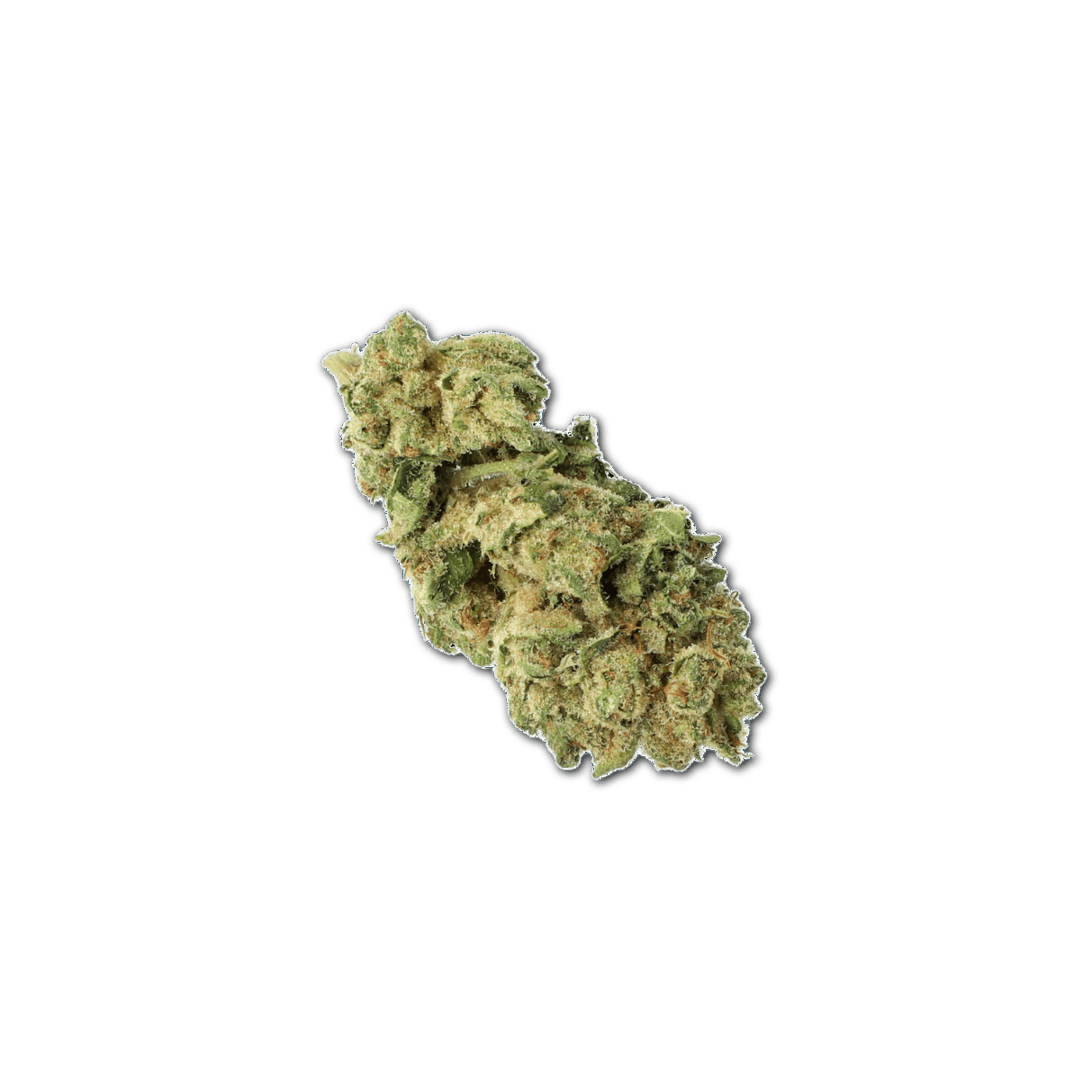 Cannamedical Indica forte MA LLY Legendary Larry