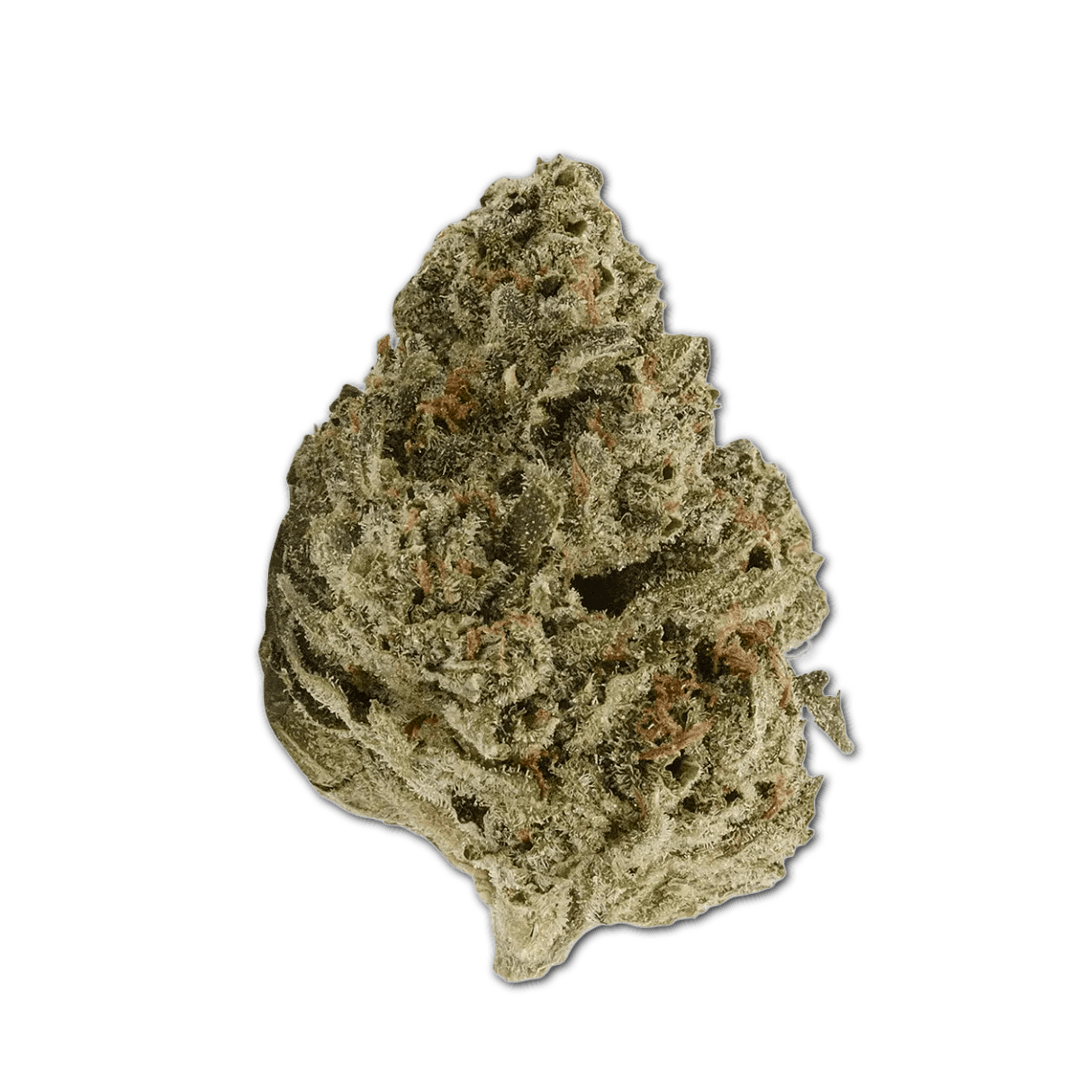 Demecan Craft Pulso 31:01 Liquid Imagination