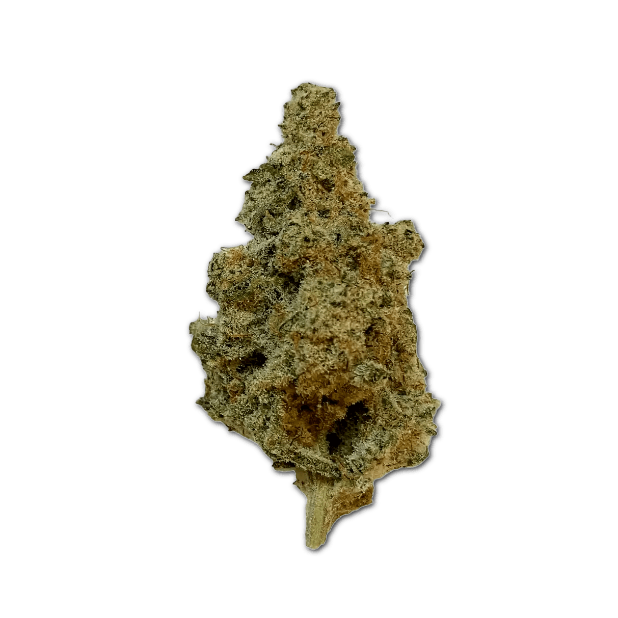 420 Evolution 20/1 CA MAC