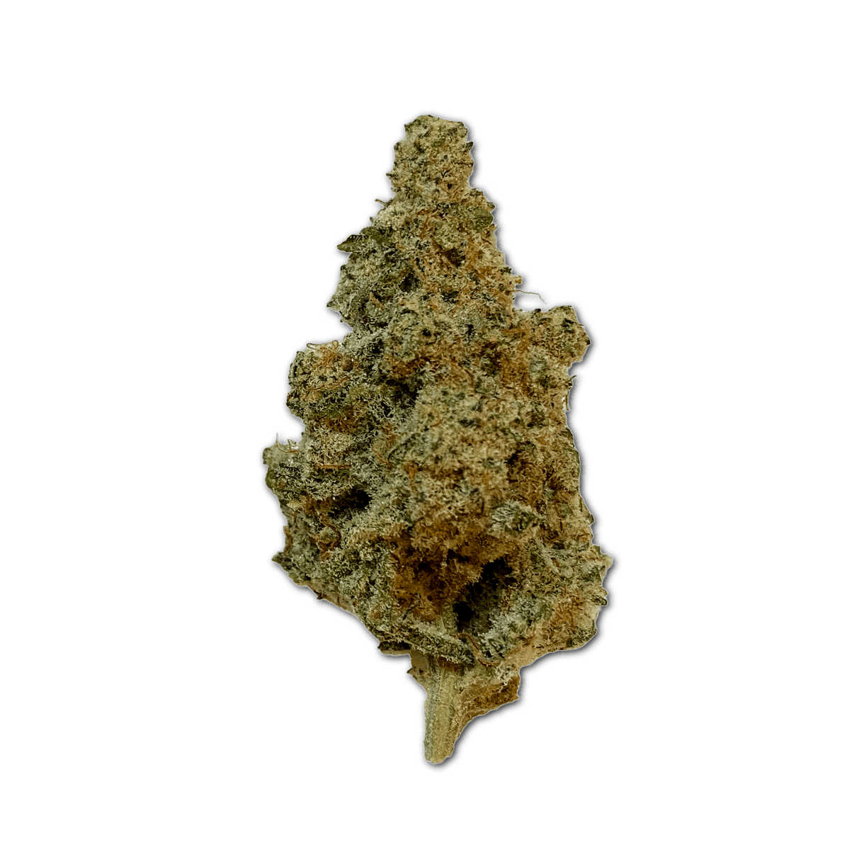 420 Evolution 25/1 CA MAC