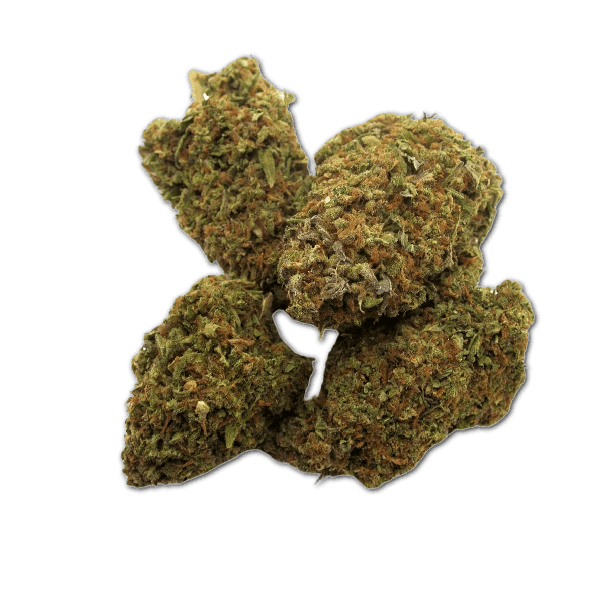 madrecan 21/1 MDR Minis