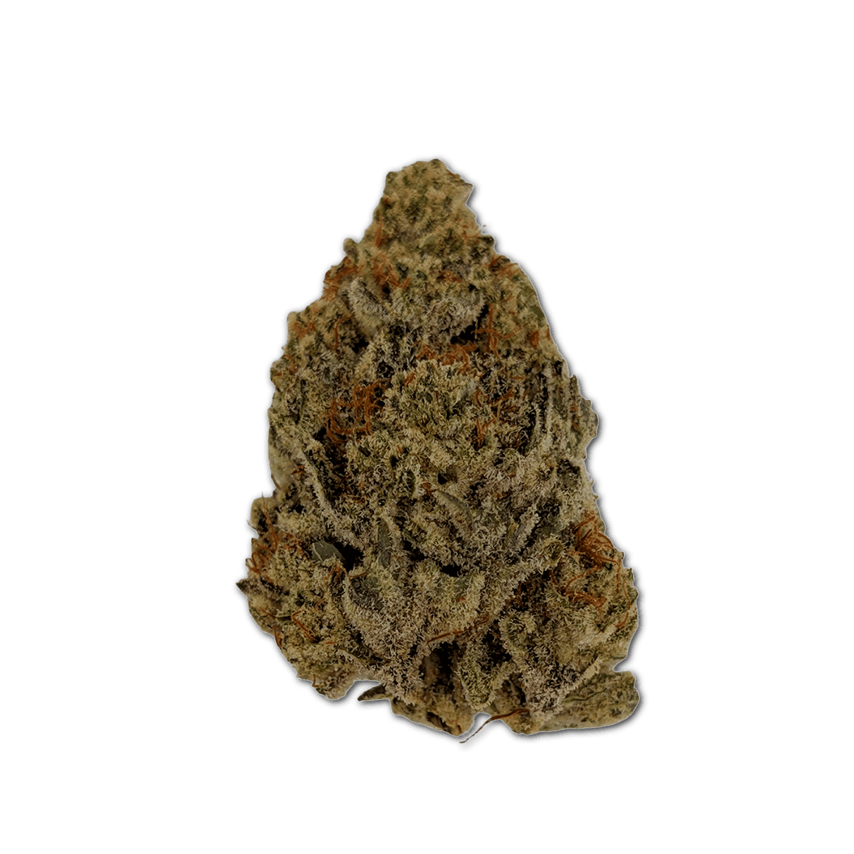 Sibanax Hybrid MCF 28/1 Mac Fem