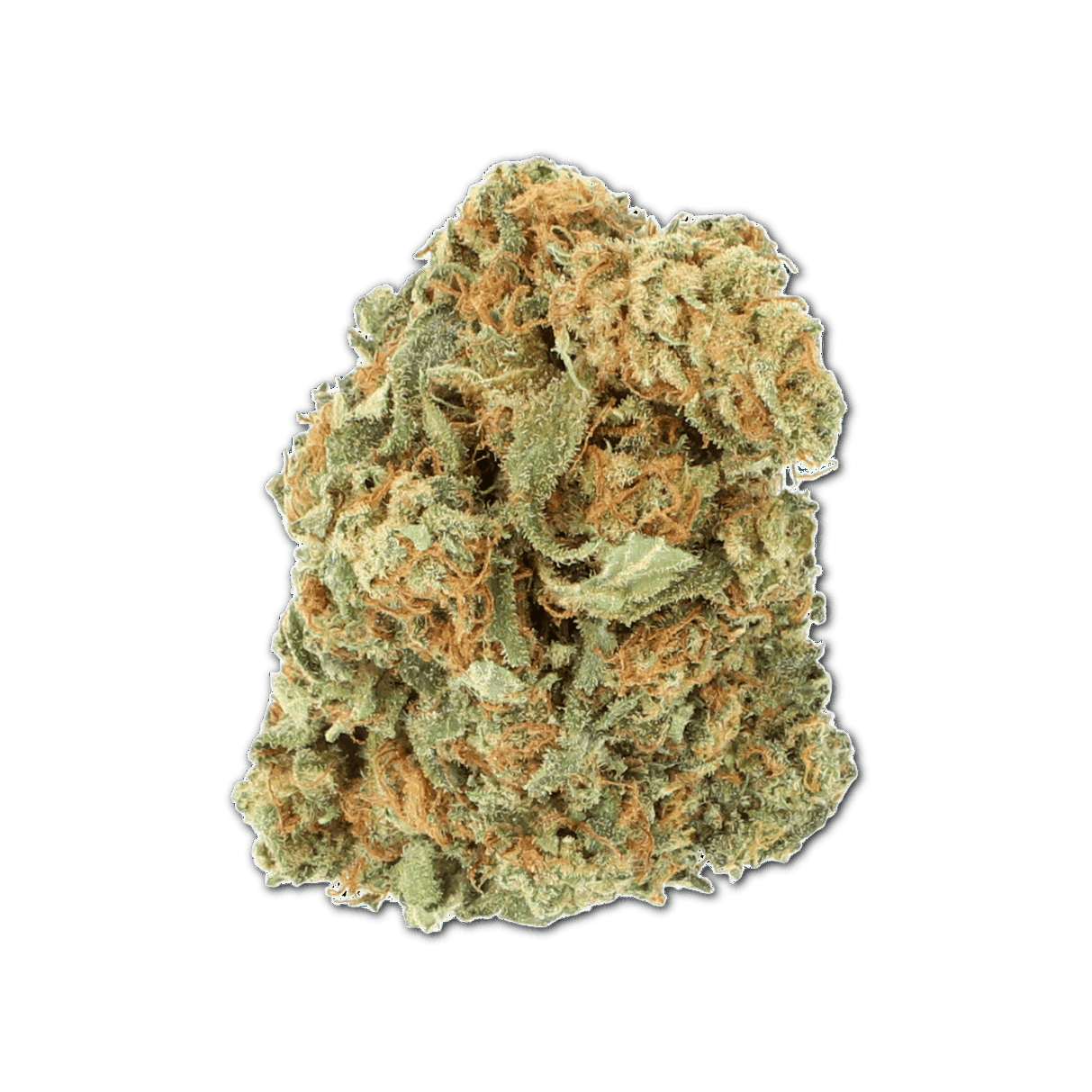 Cannamedical Balanced forte Mango Haze