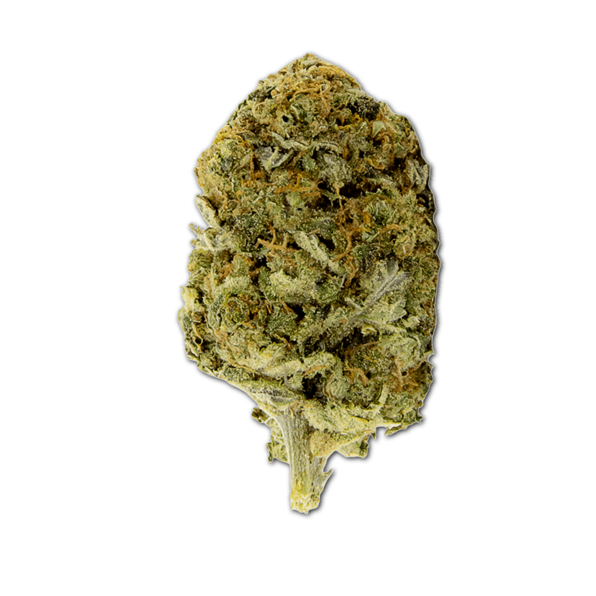 aleph amber 20/1 Mango Kush