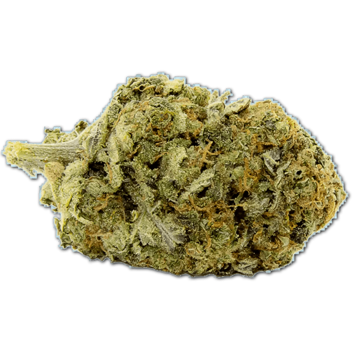 aleph amber 26/1 Mango Kush