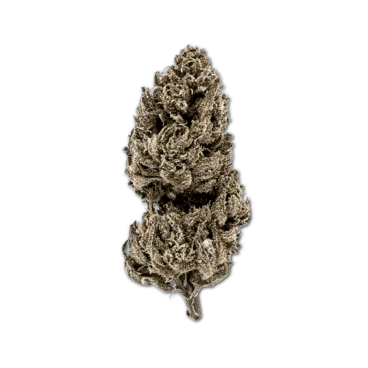 Good Supply Cannabisblüten THC25 MRG Meringue 64