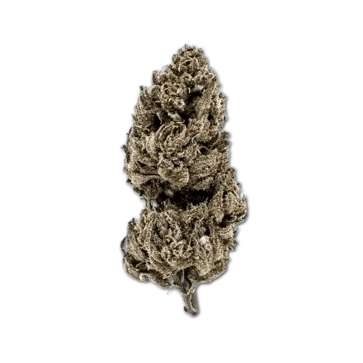 Good Supply Cannabisblüten THC28 MRG