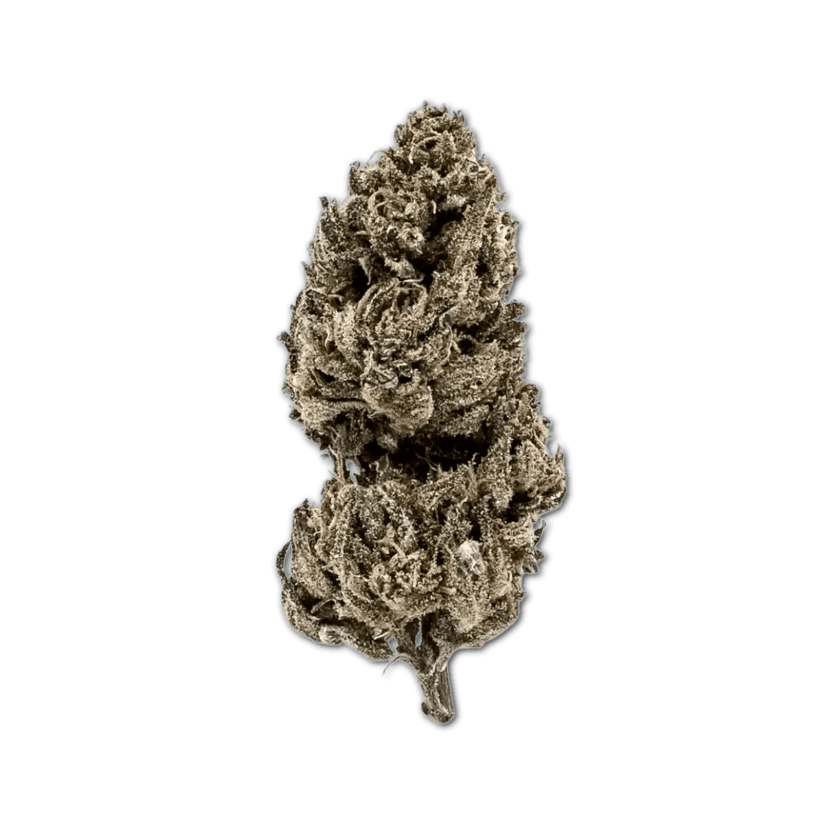 Good Supply Cannabisblüten THC22 MRG