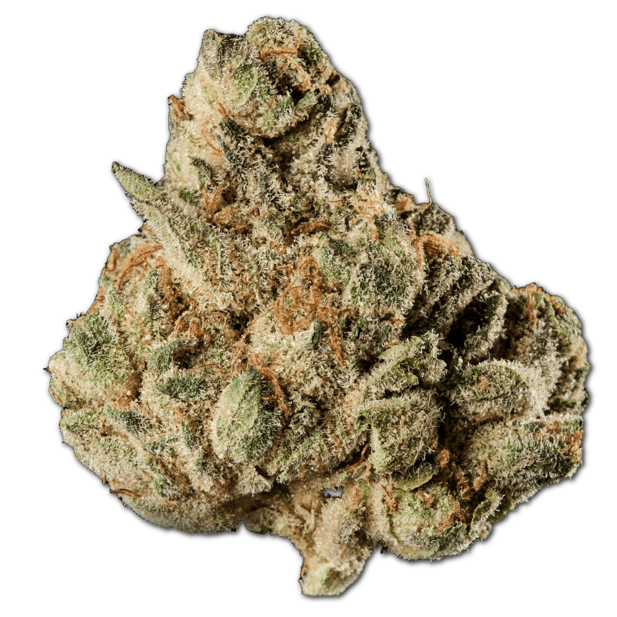 420 Evolution 27/1 CA MFG