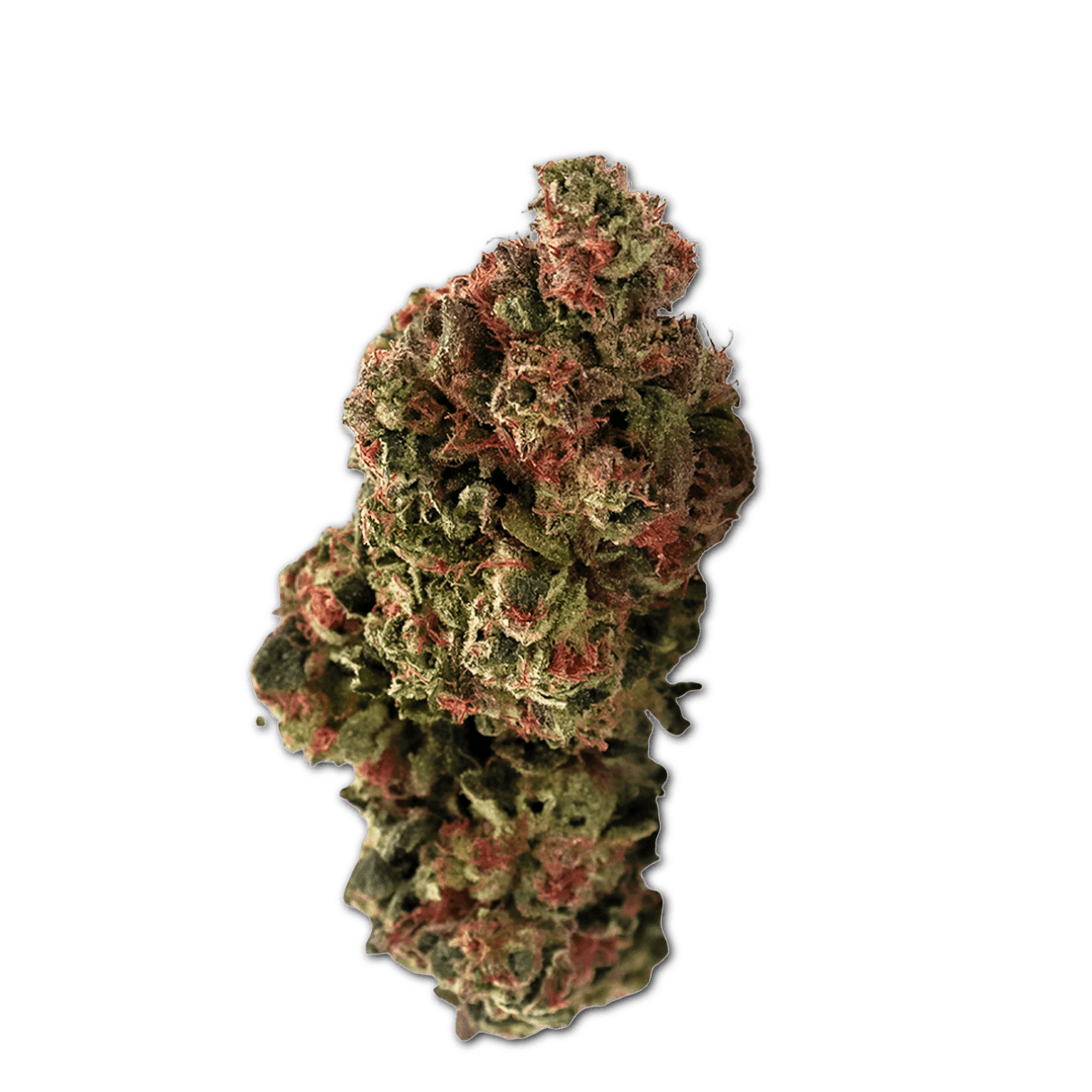 IMC Cannabisblüten THC25 T18