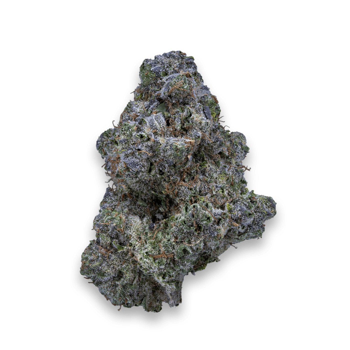 28/1 IUVO KC OJ Zainbow