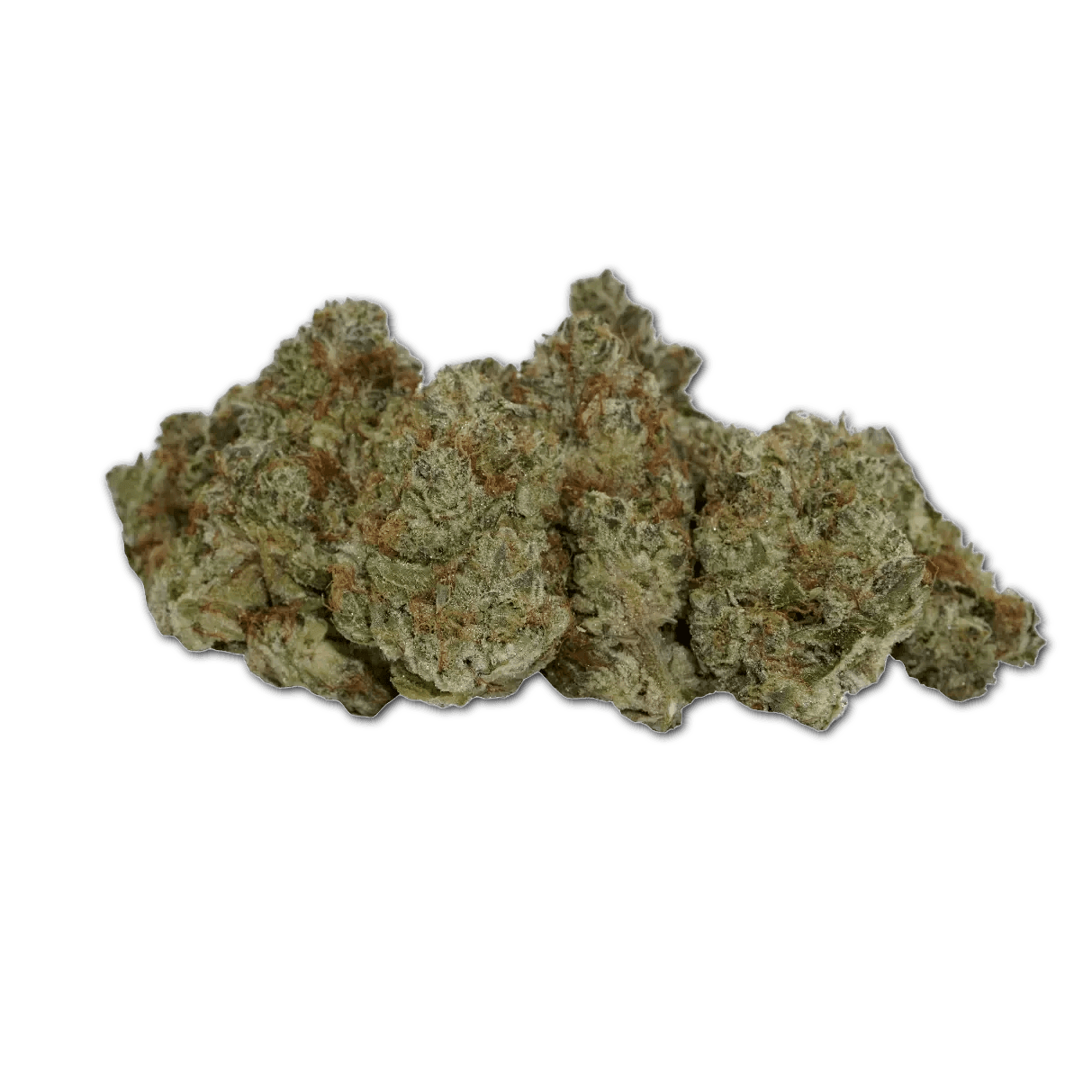 avaay SIGNATURE 34/1 OGC Ocean Grown Cookies