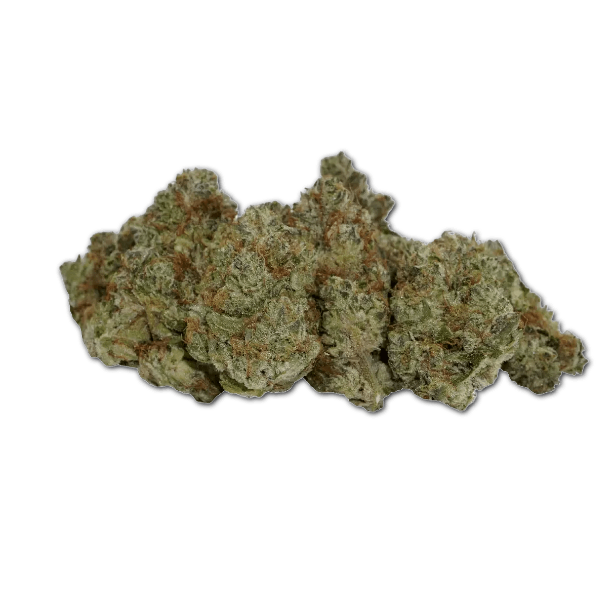 avaay SIGNATURE 34/1 OGC Ocean Grown Cookies