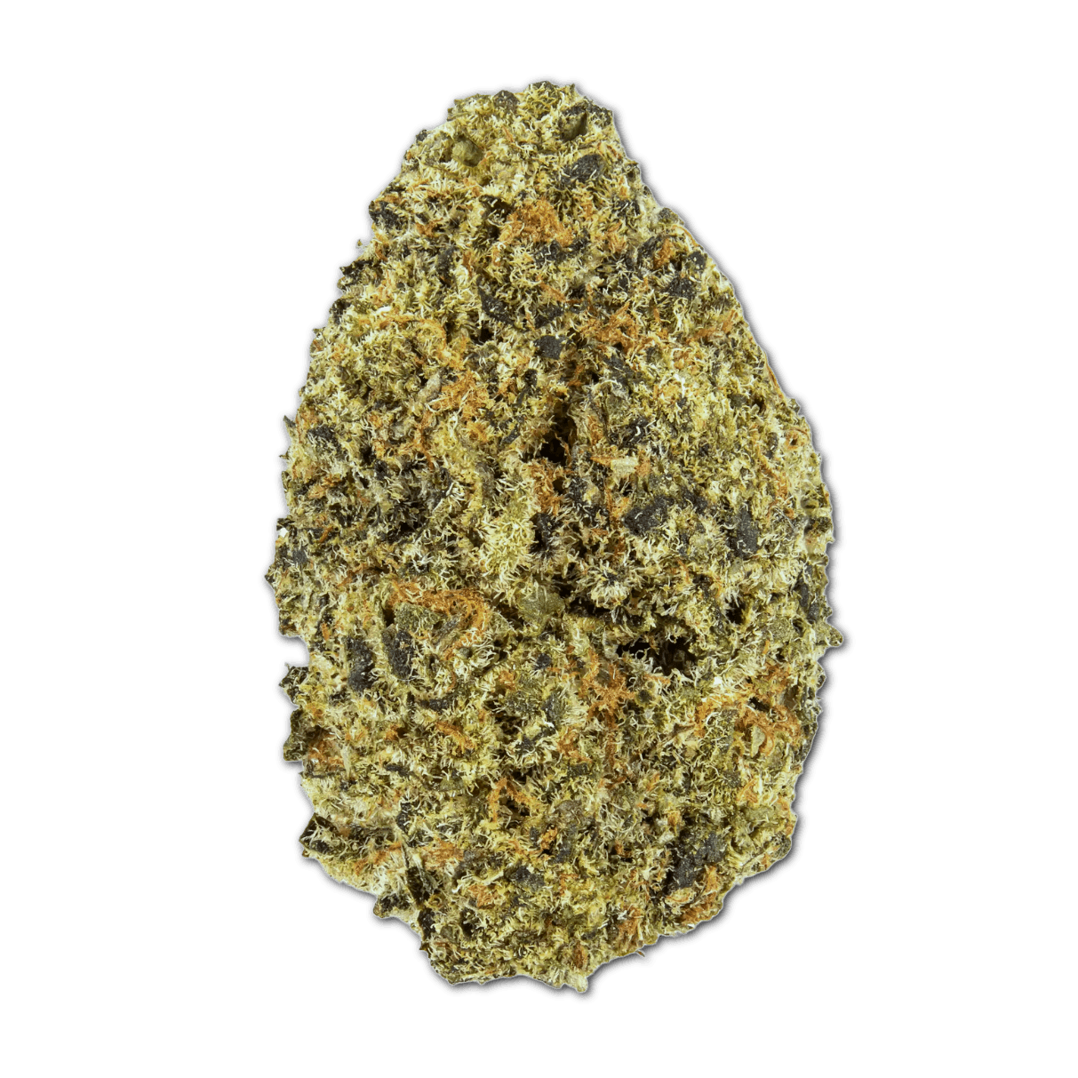 Grünhorn BC 17/1 OC