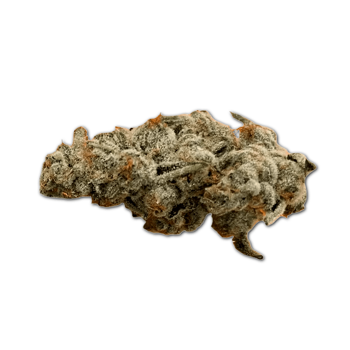 420 Evolution 25/1 CA PCH Peach Chementine