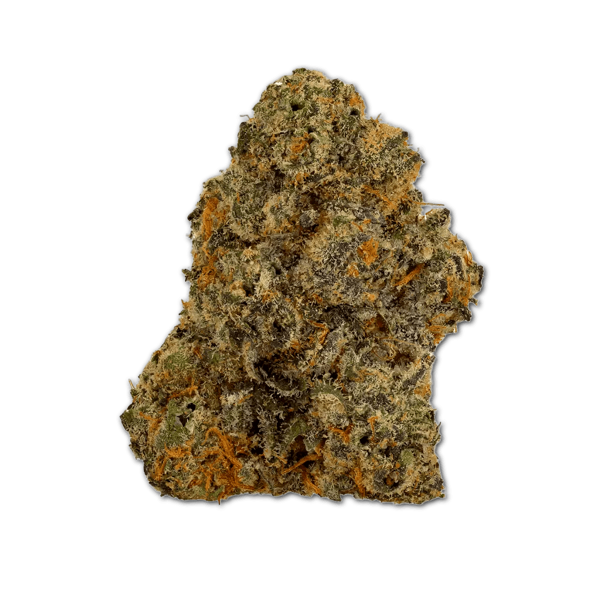 Bathera 23/1 Permanent Marker