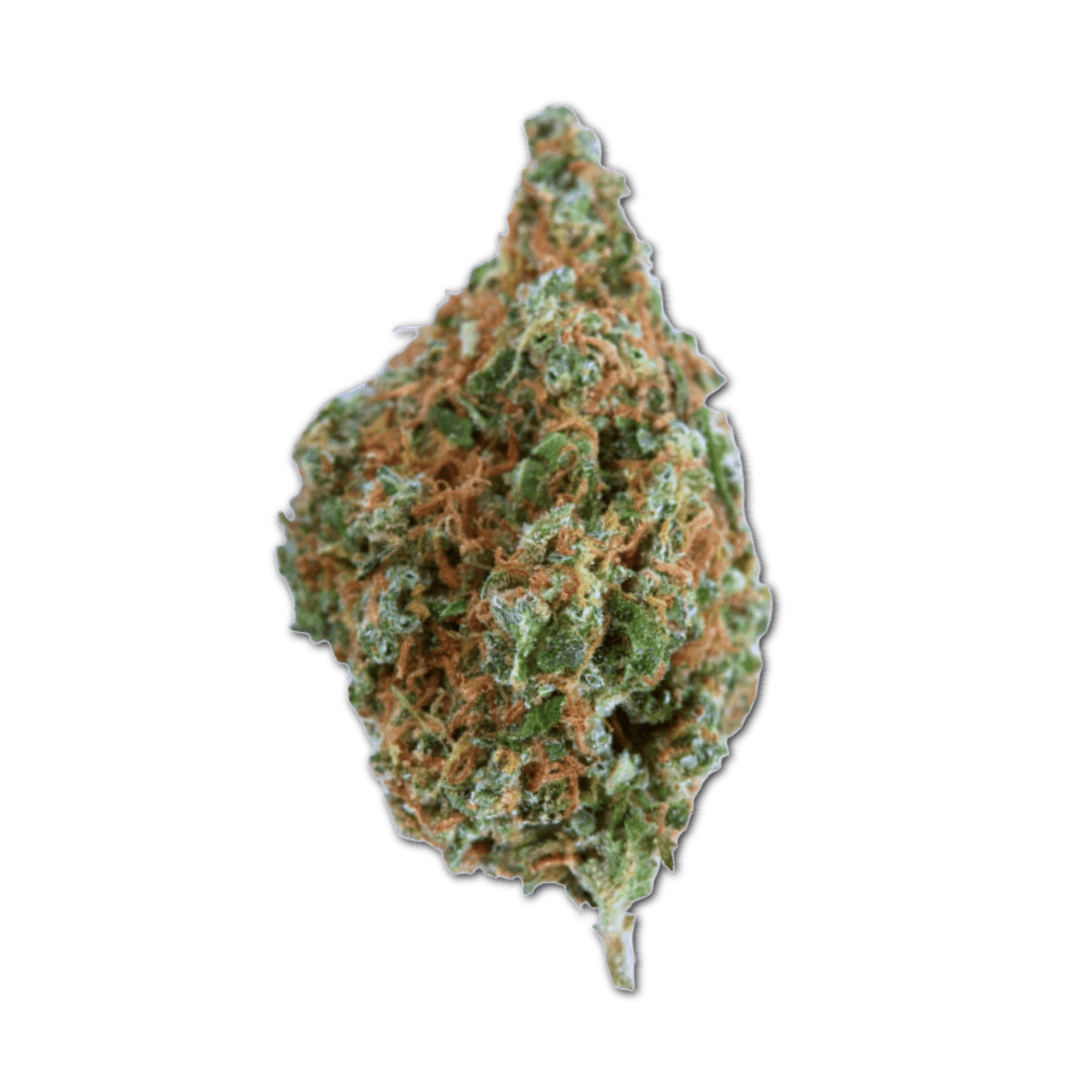 Remexian 27/1 HMA PYW Peyote Wifi