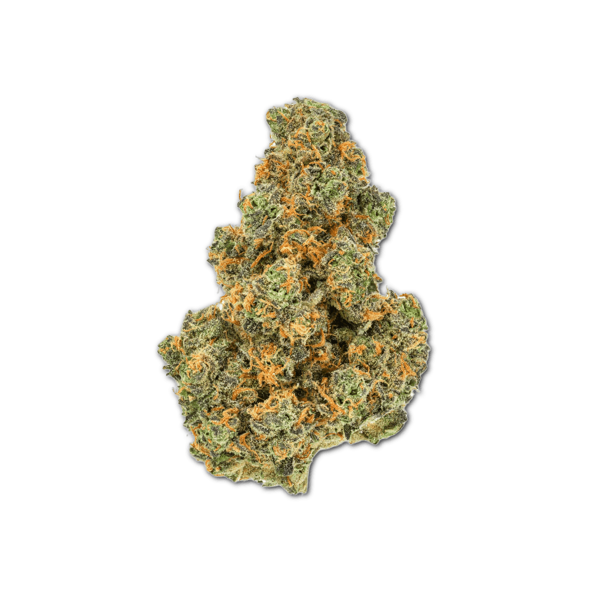 Pedanios 31/1 PND-CA Pink Diesel