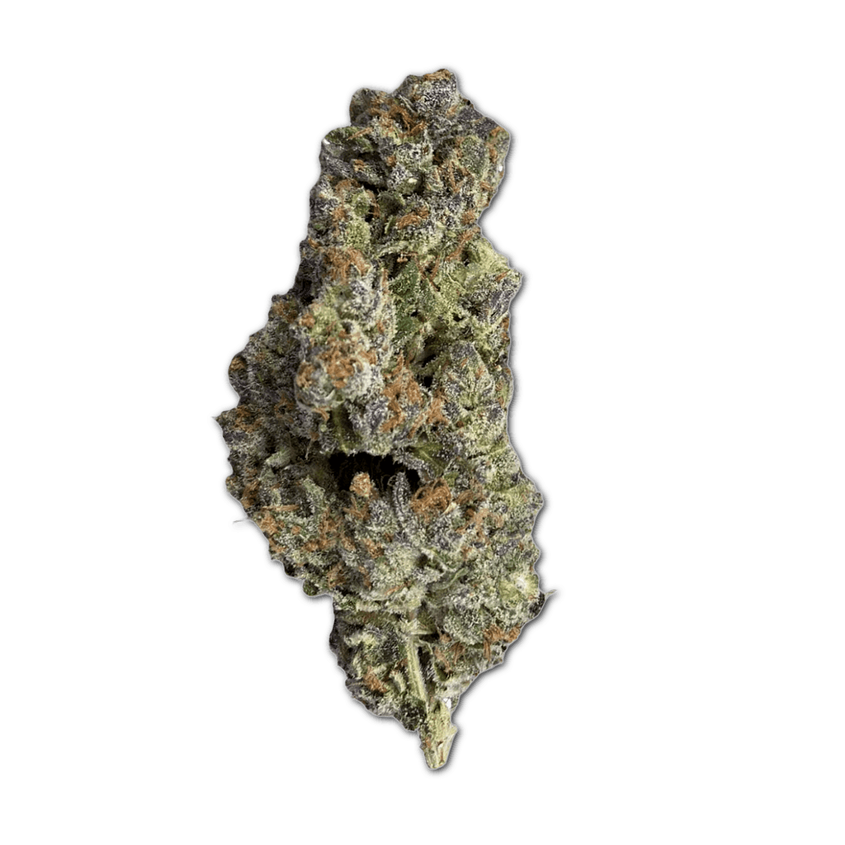 420 Evolution 22/1 CA PLD