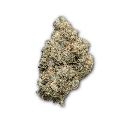 Bathera 35/1 PP Polar Pop