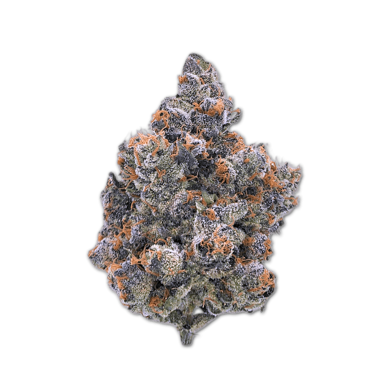 Cannabis flos 30/1 CNDA Ku. Purple Churro
