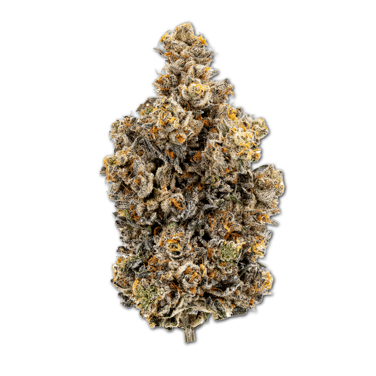 28/1 IUVO OC Rainbow Chip