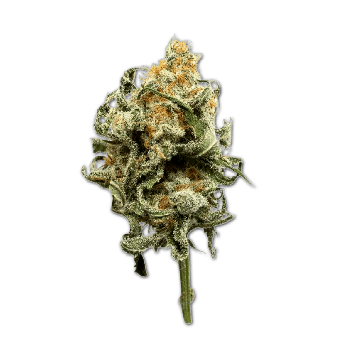 Bedrolite Cannabis Flos 1/9