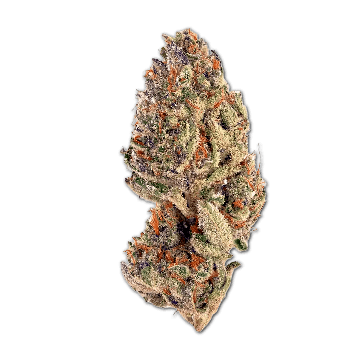 enua 30/1 SLC CA Slurricane