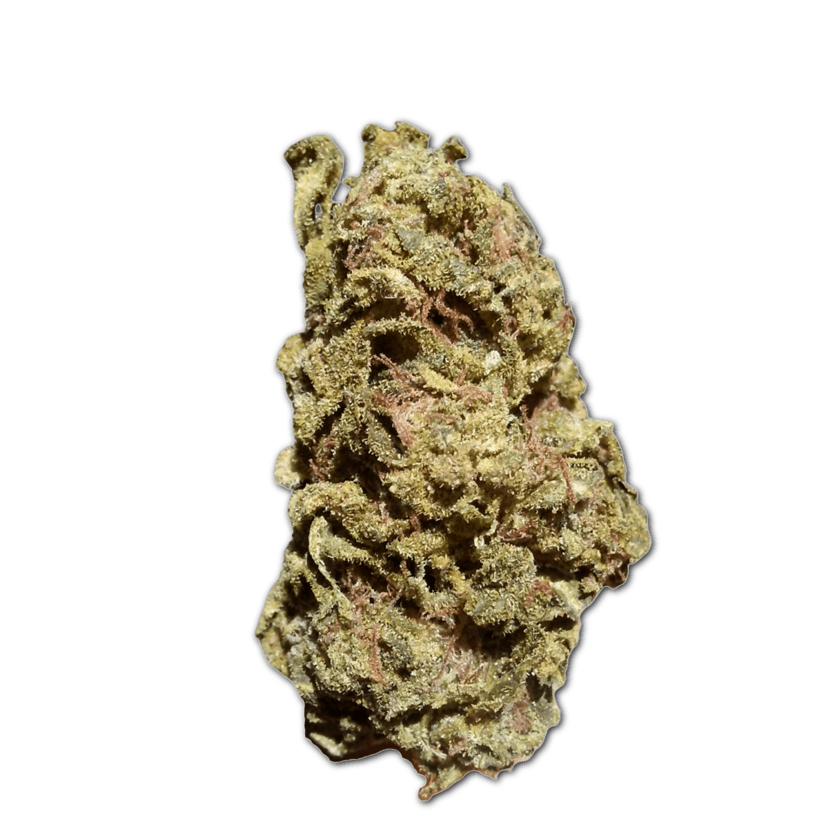 Good Supply Cannabisblüten THC22 SNL Snow Leopard