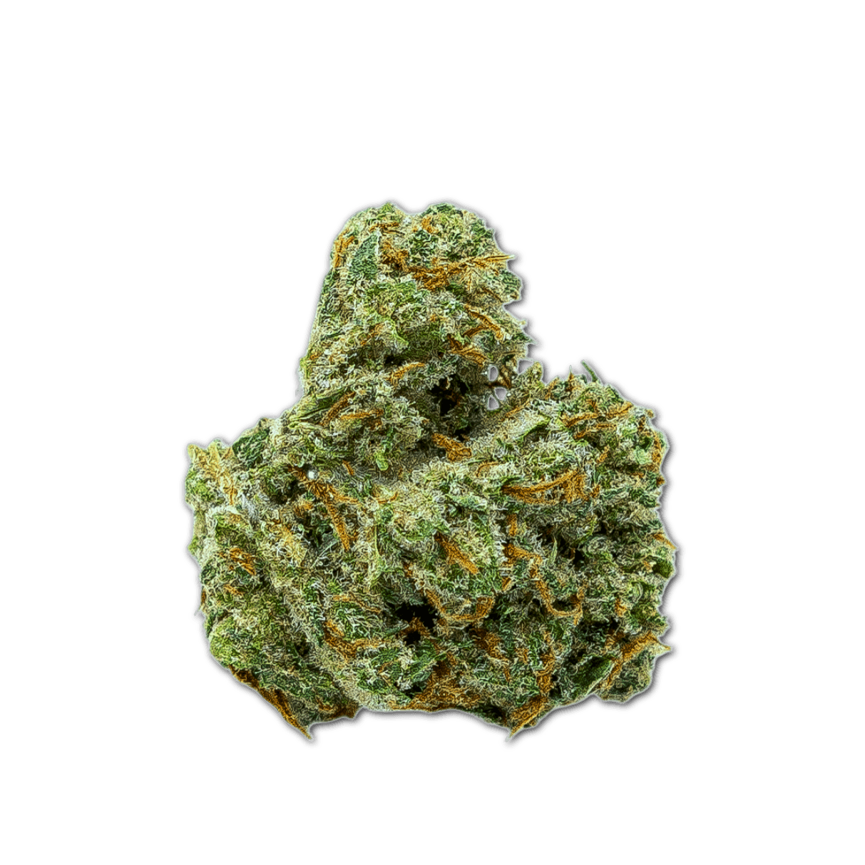 WTF 18/1 MIC SCD Sour Cherry Diesel