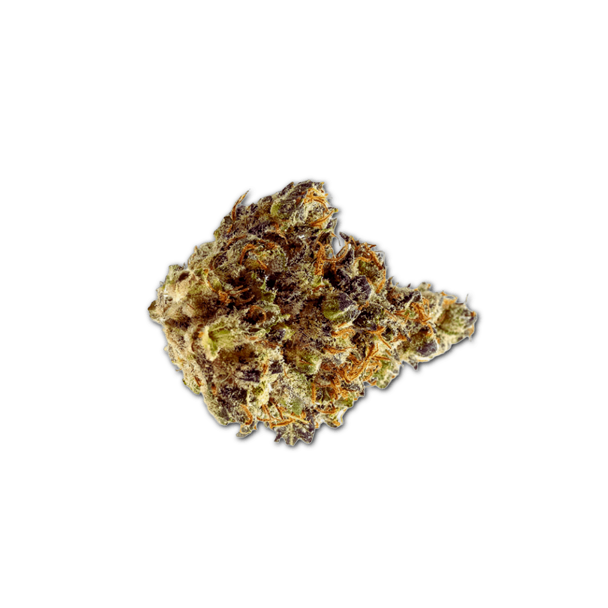 Pedanios 18/1 Sour Tangie