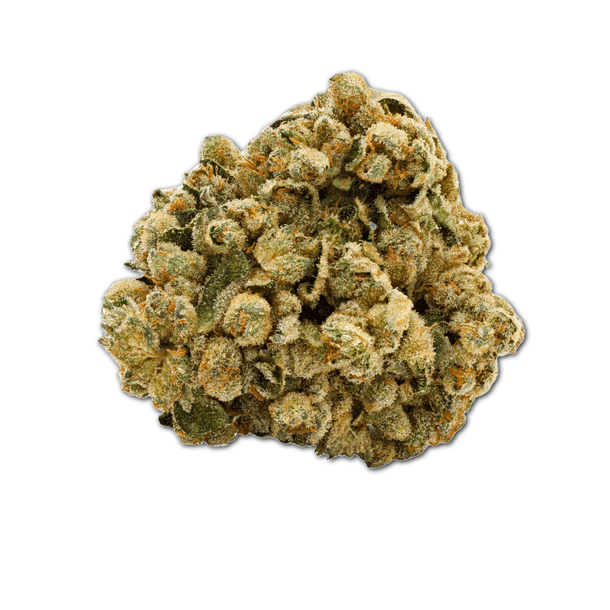 Pedanios 29/1 SRD-CA Sourdough