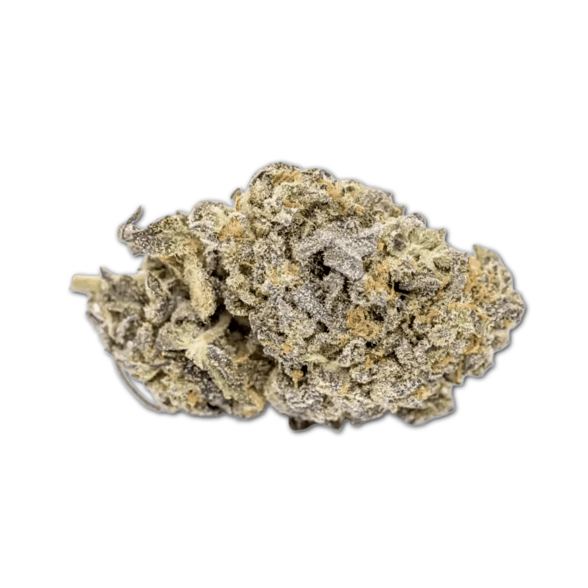 Good Supply Cannabisblüten THC28 SAC Space Age Cake